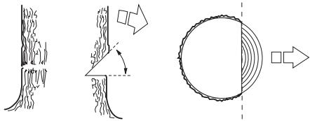 HUSQVARNA CARB III - Directional cuts - 2