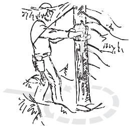 HUSQVARNA CARB III - Émondage des branches basses et voie de retraite - 1