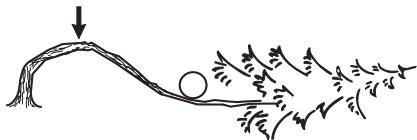 HUSQVARNA CARB III - Cutting trees and branches that are in tension - 1