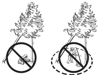 HUSQVARNA CARB III - Freeing a "trapped tree" - 1
