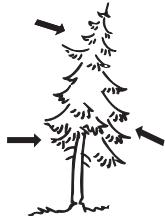 HUSQVARNA CARB III - Felling direction - 1