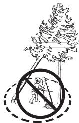 HUSQVARNA CARB III - Récupération d'un arbre accroché - 2