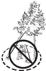 HUSQVARNA CARB III - Derribo de un árbol "atascado" - 2