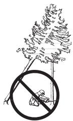 HUSQVARNA CARB III - Récupération d'un arbre accroché - 1