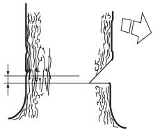 HUSQVARNA CARB III - Felling cut - 1