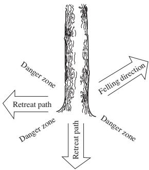 HUSQVARNA CARB III - Clearing the trunk and preparing your retreat - 2