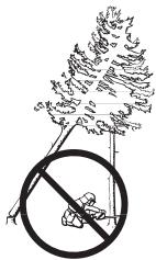 HUSQVARNA CARB III - Derribo de un árbol "atascado" - 1