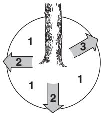 HUSQVARNA 550 XP - Émondage des branches basses et voie de retraite - 2