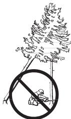 HUSQVARNA 550 XP - Récupération d'un arbre accroché - 1