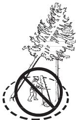 HUSQVARNA 550 XP - Récupération d'un arbre accroché - 2