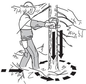 HUSQVARNA 550 XP - Émondage des branches basses et voie de retraite - 1