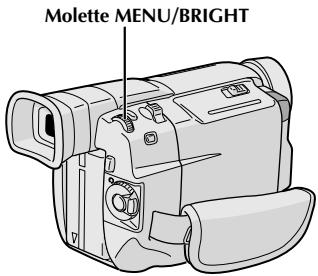 JVC GR-DVL100 - La démonstration automatique a lieu lorsque "DEMO. MODE" est réglé sur "ON" (réglage en usine). - 1