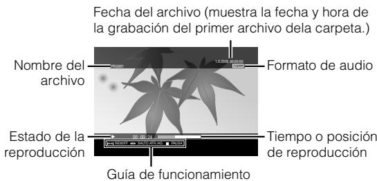 JVC CU-VD40 - Visualización de la pantalla - 2