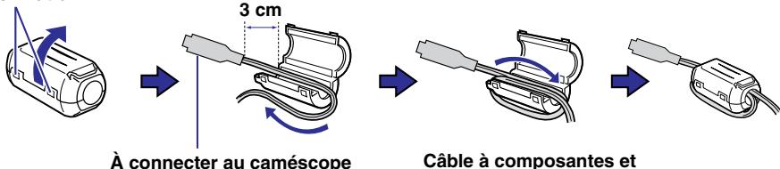 3 cm À connecter au caméscope Câble à composantes et