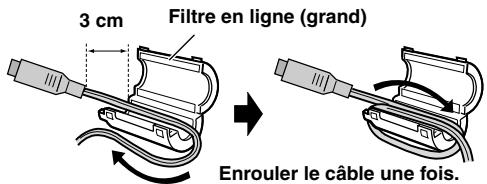 3 cm Filtre en ligne (grand) Enrouler le câble une fois.