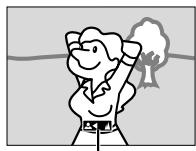 JVC GR-DZ7 - Mise au point manuelle - 1