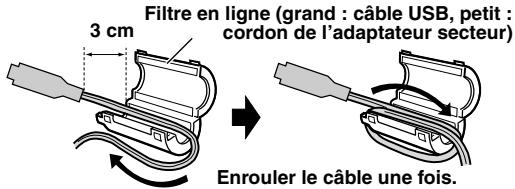 JVC GR-DZ7 - Câble USB et cordon de l'adaptateur secteur - 1