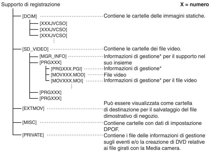 JVC GZ-MG133 - Struttura delle cartelle ed estensioni - 1