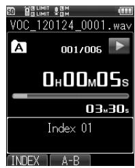 OLYMPUS LS-20 - Effacement des marques d'index - 1