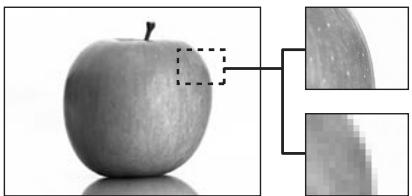 OLYMPUS E-3 - JPEG - 1
