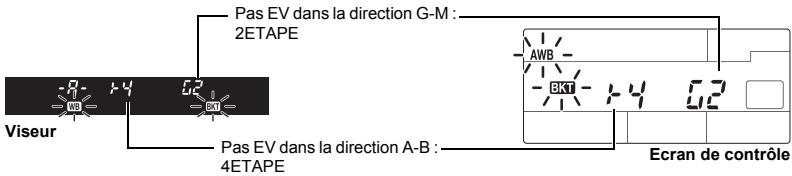 Pas EV dans la direction G-M : 2ETAPE Viseur Pas EV dans la direction A-B : 4ETAPE AWB Ecran de contrôle