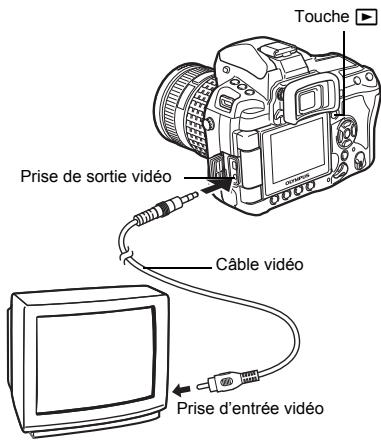 Touche Prise de sortie vidéo Câble vidéo Prise d'entrée vidéo