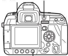 OLYMPUS E-3 - Appuyez complètement sur le déclencheur pour prendre une photo. - 1