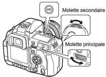 WD Molette secondaire Molette principale
