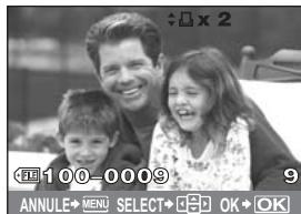 100 0003 ANNULE MENU SELECT OK OK