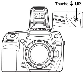 Touche ↓ UP IMPUS OLYMPUS