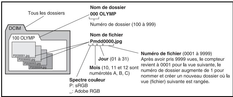 Tous les dossiers Nom de dossier 000 OLYMP Numéro de dossier (100 à 999) Nom de fichier Pmdd0000.jpg Jour (01 à 31) Mois (10, 11 et 12 sont numérotés A, B, C) Numéro de fichier (0001 à 9999) Après avoir pris 9999 vues, le compteur revient à 0001 pour la vue suivante, le numéro de dossier augmente de 1 pour nommer et créer un nouveau dossier où la vue (fichier) suivante est rangée. DCIM 100 OLYMP P2030001.jpg P2030002.jpg P2030003.jpg P2030004.jpg Spectre couleur P: sRGB _: Adobe RGB