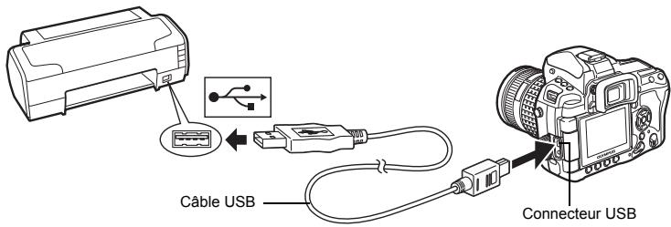 Câble USB Connecteur USB