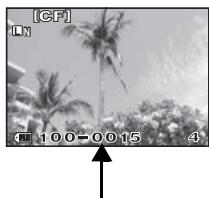 [CF] LN 100-0015 4