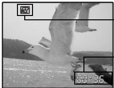 OLYMPUS MU 725 - Enregistrement de vidéos - 1