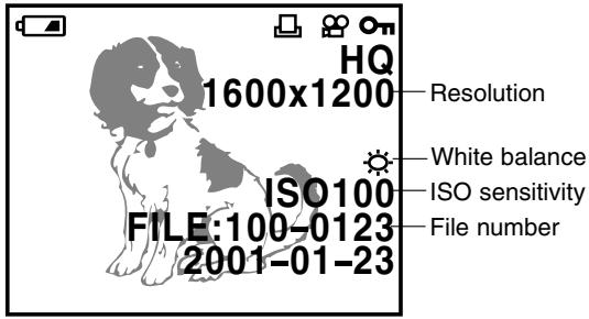OLYMPUS C-200 ZOOM - Playback mode display (with image information display on) - 1
