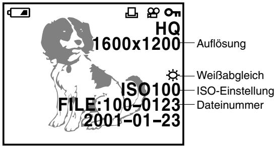 OLYMPUS C-200 ZOOM - Wiedergabemodus-Anzeigen (bei eingeschalteter Bildinformationsanzeige) - 1