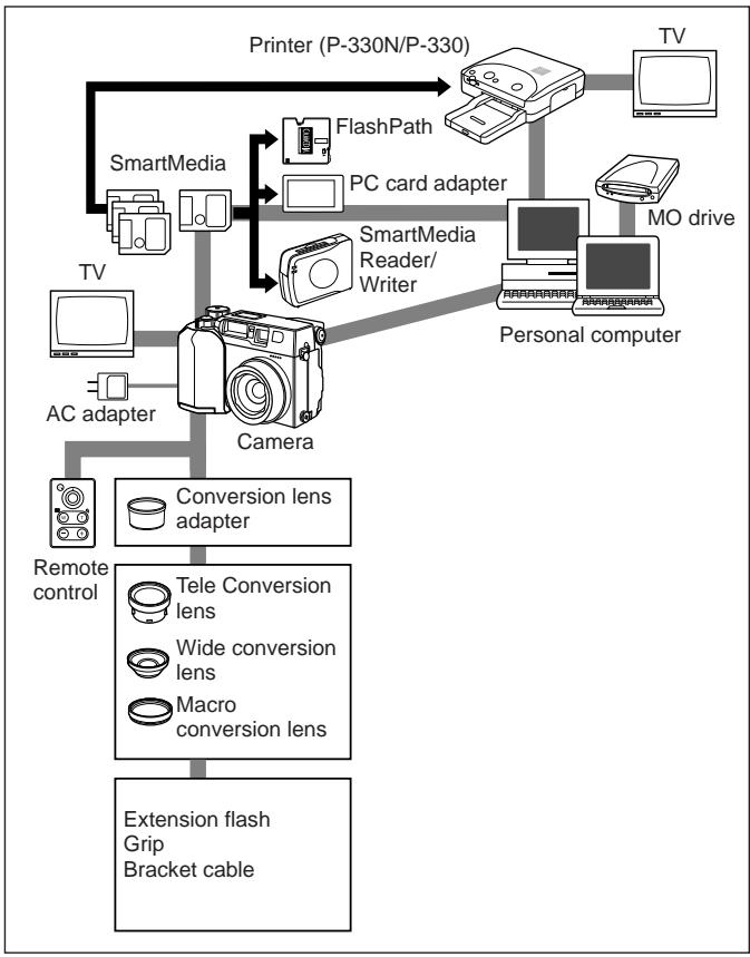 OLYMPUS C-3000 ZOOM - Notes on display and backlight - 1