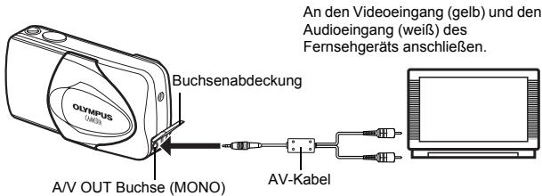 An den Videoeingang (gelb) und den Audioeingang (weiß) des Fernsehgeräts anschließen. Olympus CAMERA Buchsenabdeckung A/V OUT Buchse (MONO) AV-Kabel