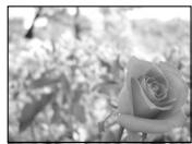 OLYMPUS C-50 ZOOM - ●A (Aperture priority shooting) - 1