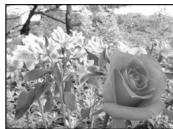 OLYMPUS C-50 ZOOM - ●A Belichtungsautomatik mit Blendenvorwahl - 3