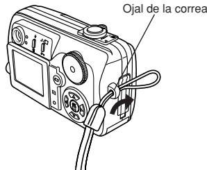 Ojal de la correa