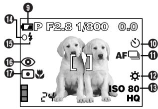 OLYMPUS C-50 ZOOM - Indications during shooting - 2