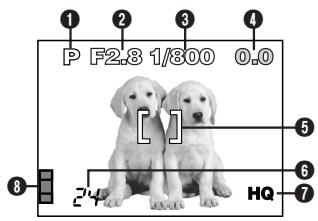 OLYMPUS C-50 ZOOM - Indications during shooting - 1