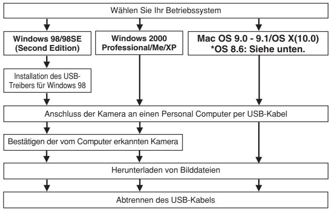 OLYMPUS C-50 ZOOM - Bildübertragung auf einen Personal Computer - 1