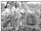 OLYMPUS C-50 ZOOM - ●A (Aperture priority shooting) - 3