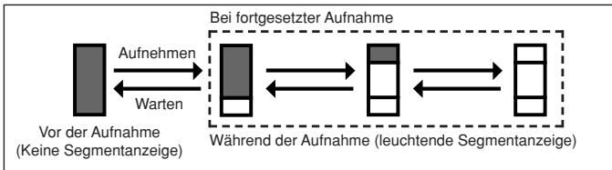 OLYMPUS C-50 ZOOM - Speichersegmentanzeige - 1