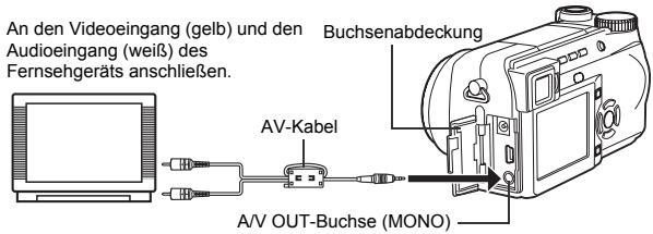 OLYMPUS C-765 UZ - KARTENFORMATIERUNG (CARD SETUP) - 3