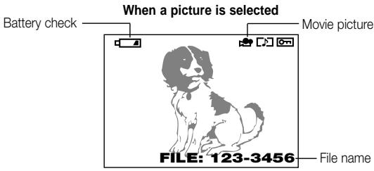 OLYMPUS C3040 ZOOM - Displaying image information for movies - 2