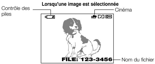 OLYMPUS C3040 ZOOM - Affichage d'informations pour les films - 1