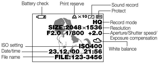 OLYMPUS C3040 ZOOM - Displaying image information for pictures - 1